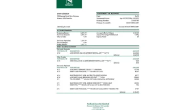 Lesotho Nedbaank bank statement Template