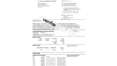 PNC Bank Virtual Wallet Reserve Statement Word And PDF Template