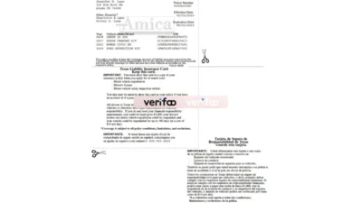 Texas Liability Insurance Card Word And PDF Template