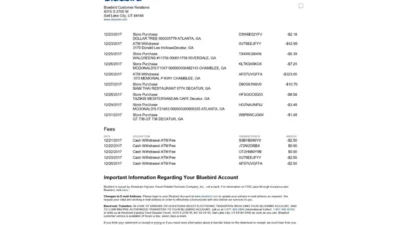 BlueBird Bank Statement Editable Template