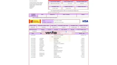 USA Syndicate Bank Credit Card Statement Word And PDF Template (3 Pages)