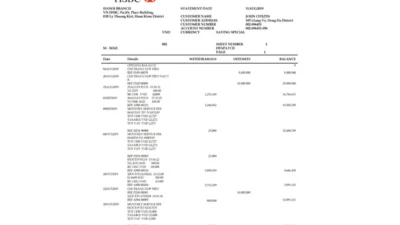 Vietnam HSBC Bank Statement Template