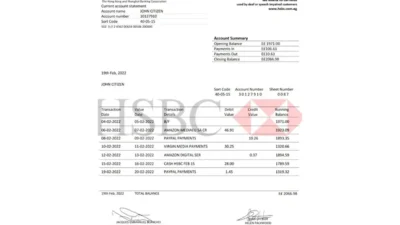 Egypt HSBC Bank proof of address bank statement template