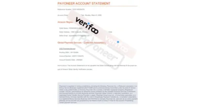 Payoneer Account Statement Template