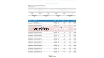Venezuela Banco de Venezuela Bank Statement Template in word and pdf format