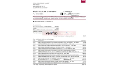 USA North Carolina BB&T Corp. Bank Statement Template (2 Pages)