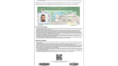 Visa Electrónica Ecuador Word And PDF Template
