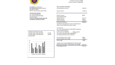Laos Electricite Du Laos Electricity Utility Bill Template In Word And PDF Format