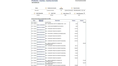 Venezuela Mercantil Bank Statement Word And PDF Template (2 Pages)
