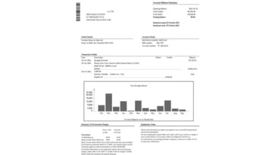 USA NAB Bank Statement Template