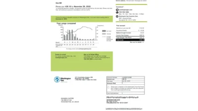USA Washington Gas Utility Bill Word And PDF Template (2 Pages)