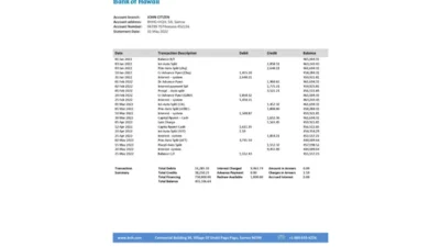 Samoa Bank of Hawaii Bank Statement Template