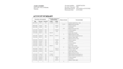 Tanzania Access Bank Statement Word and PDF Template