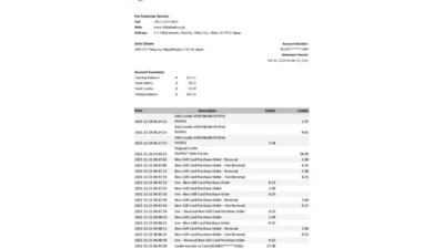 Japan Chiba bank statement Excel and PDF template