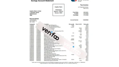 USA Capitec banking statement Word and PDF template