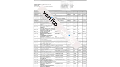 Nigeria Access bank statement template