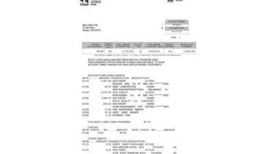 USAA Bank Statement