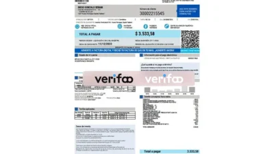 Argentina MetroGAS Utility Bill In Word And PDF Format