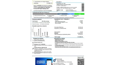 Argentina Edenor Electricity Bill Word And PDF Template (2 Pages)