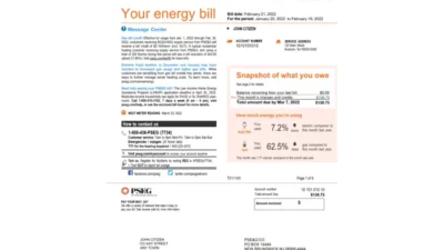 USA New York PSEG Utility Bill Word And PDF Template (5 Page)