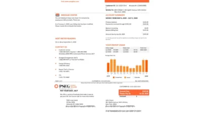 USA New Jersey PSEG Electricity Utility Bill Word And PDF Template (2 Pages)