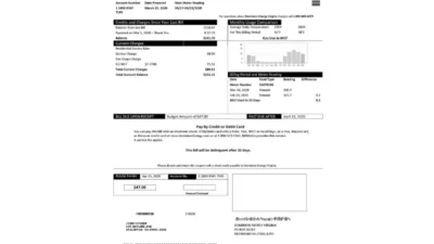 USA Dominion Energy Utility Bill Word And PDF Template