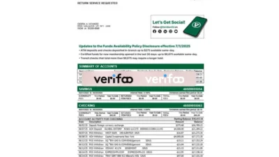 USA Veridian Statement of Accounts Template in word and pdf format