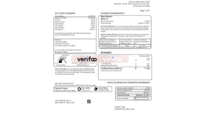USA Discover Bank Credit Card Statement Word And PDF Template