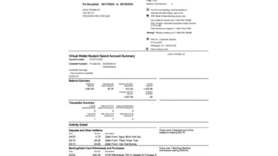 PNC Bank Virtual Wallet Student Spend Statement Template in Word and PDF Format