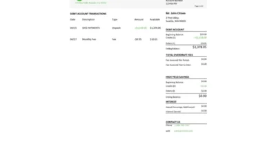 USA Green Dot Bank Statement Word And PDF Template (3 Pages)