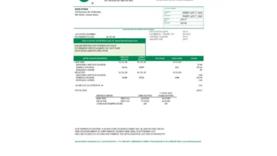 USA Ohio Farmers Electric Cooperative Utility Bill Word And PDF Template Version 2
