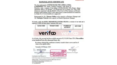 Cameroon United Bank for Africa (UBA) Template in word and pdf format