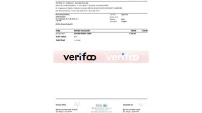 Romania ING Bank Statement Template in word and pdf format