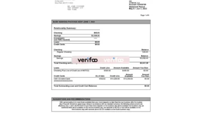 USA Citibank Bank Statement Word And PDF Template (6 pages)