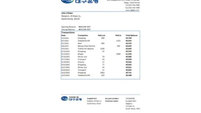 South Korea Daegu Bank Statement Excel And PDF Template