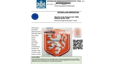 Netherland E-Visa Template in Word And PDF Format