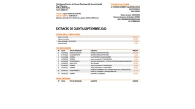 Spain Nickel Bank Statement Template