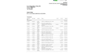Nigeria Fidelity Bank Statement Word And PDF Template