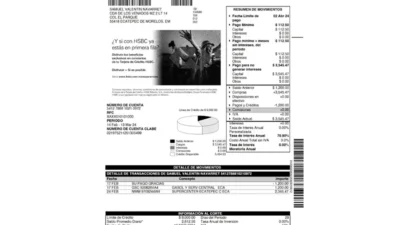 Mexico HSBC Viva Credit Card Statement Template (4 Pages)