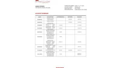 Sri Lanka Seylan bank statement template