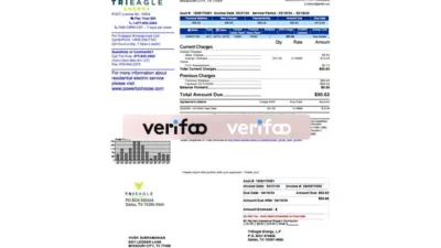 United States TriEagle Energy Utility Bill Template in Word and PDF Format