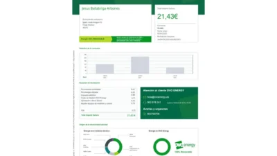 Spain OVO Energy Utility Bill Word And PDF Template ( 2 Pages)