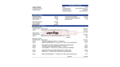 Gabon Alios Finance Bank Statement Template