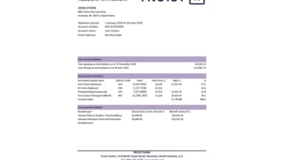 USA Truist Bank Statement Excel And PDF Template