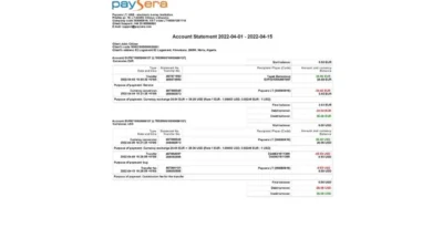 Lithuania Paysera Account Statement Word And PDF Template