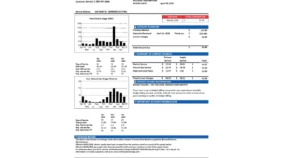 USA NorthWestern Energy Utility Bill Word And PDF Template