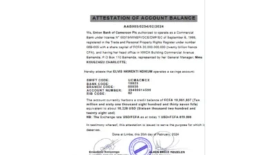 Cameroon Union Bank of Cameroon PLC Template in word and pdf format