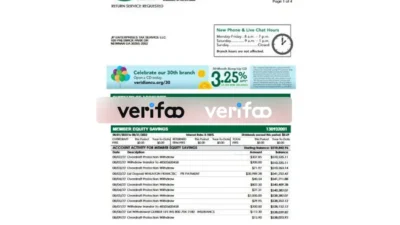 USA Veridian Business Statement Template in word and pdf format