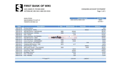 USA First Bank Of Wiki Bank Statement Template
