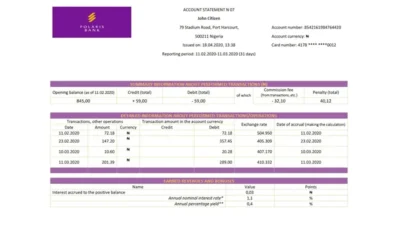 Nigeria Polaris Bank Statement Word And PDF Template